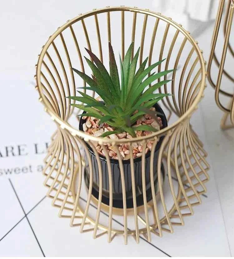 Metal Cage With Plant
