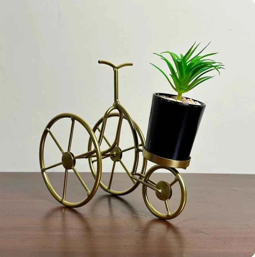 Metal Cycle in Golden Colour With Ceremic Flower Pot