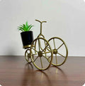 Metal Cycle in Golden Colour With Ceremic Flower Pot